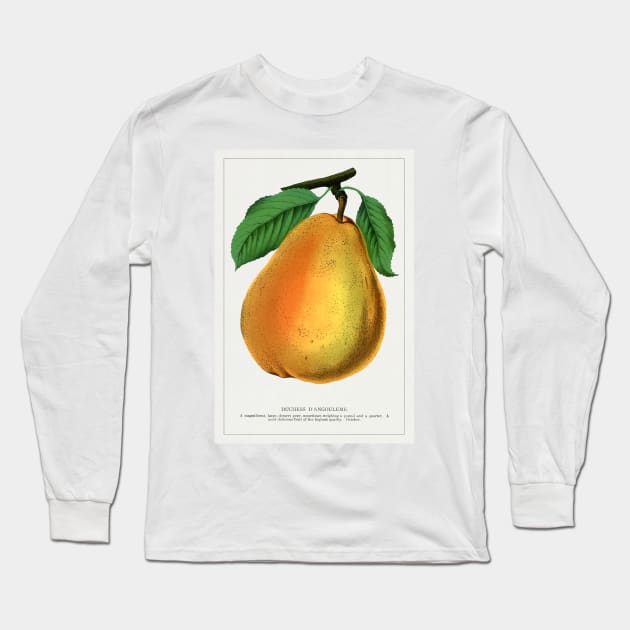 Duchess D'Angouleme pear lithograph (1900) Long Sleeve T-Shirt by WAITE-SMITH VINTAGE ART